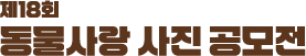 logo_header_1