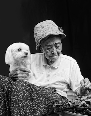 할머니의 사랑 썸네일