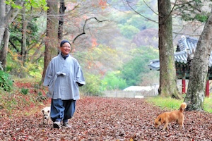 산책 썸네일