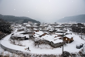 눈오는날 산책 썸네일