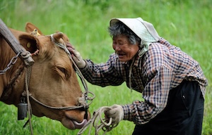 정 썸네일