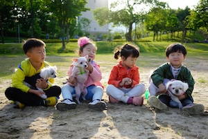 어린이들과 강아지들 썸네일