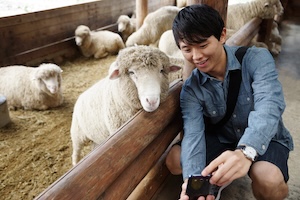 Friendsheep 썸네일