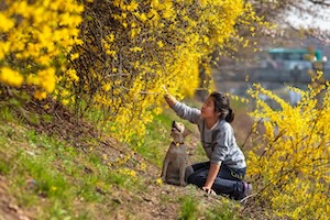 이 꽃이 바로 너야 썸네일