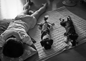 놈.놈.놈. 썸네일