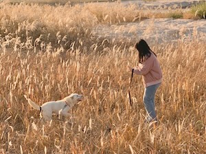 우리의 두 번째 가을 썸네일