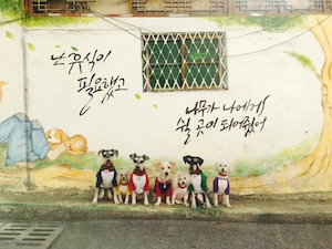 나무가 나에게 쉴 곳이 되어줬어 썸네일