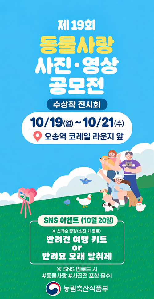 사진전